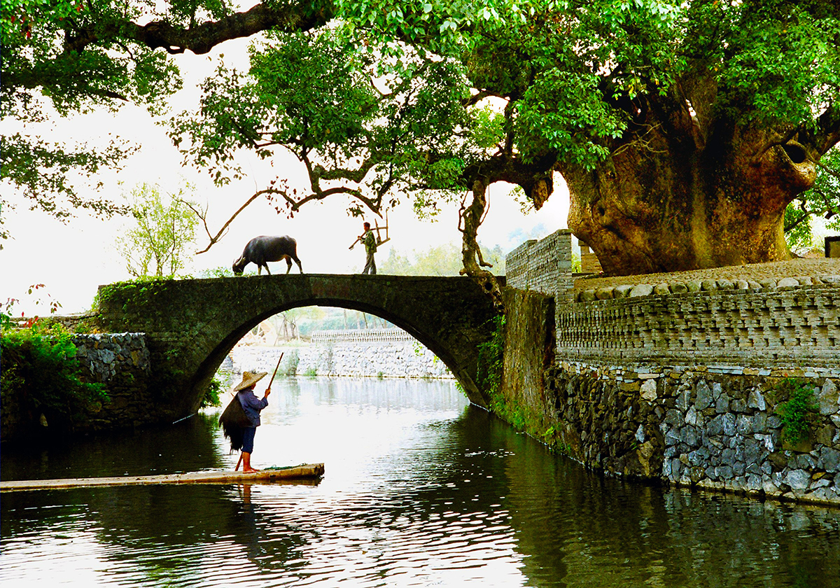 美翻了我的村第63期 | 江西省婺源縣賦春鎮(zhèn)：厚植生態(tài)底色 培育文明鄉(xiāng)風