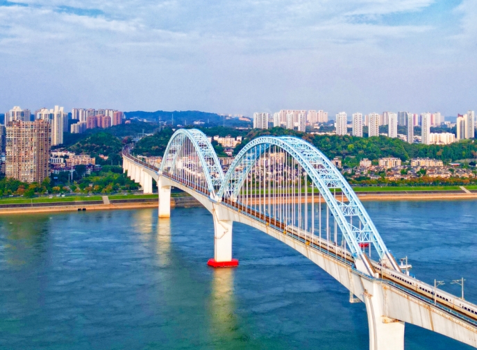 向光而行，花開滿途